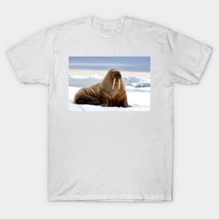 I Am the Walrus T-Shirt